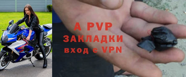 прущие крисы Каменногорск