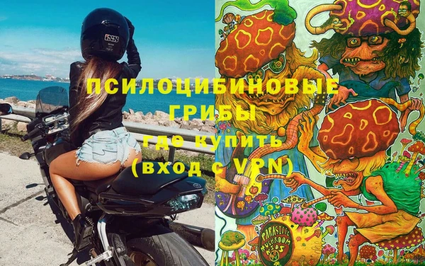 прущие крисы Каменногорск