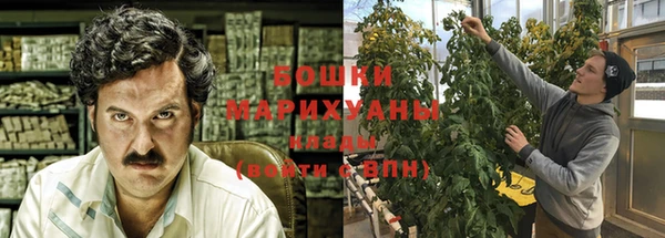 прущие крисы Каменногорск