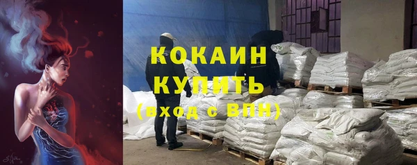 ALPHA PVP Каменка