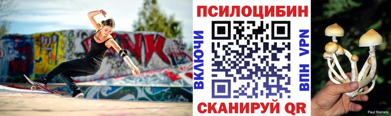 Купить закладки  Мещовск  Псилоцибиновые грибы мухоморы 