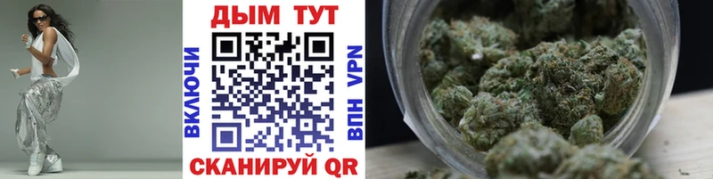 Конопля White Widow  Купить где  Мещовск 